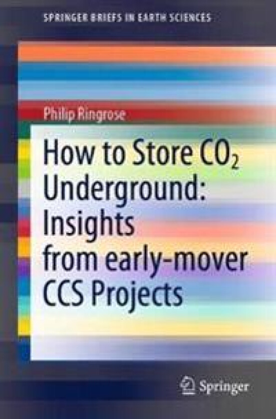 How to Store CO2 Underground: Insights from early-mover CCS Projects