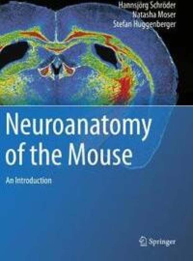 Neuroanatomy of the Mouse