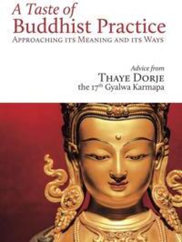 A Taste of Buddhist Practice