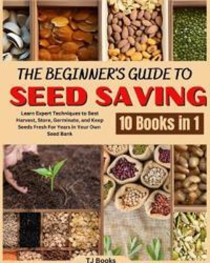 The Beginner's Guide to Seed Saving
