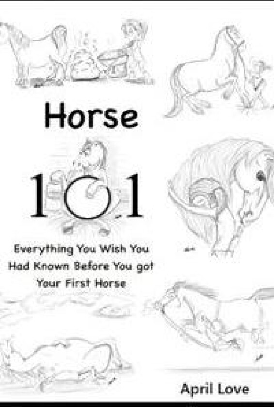Horse 101