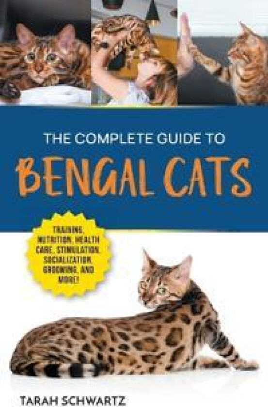 The Complete Guide to Bengal Cats