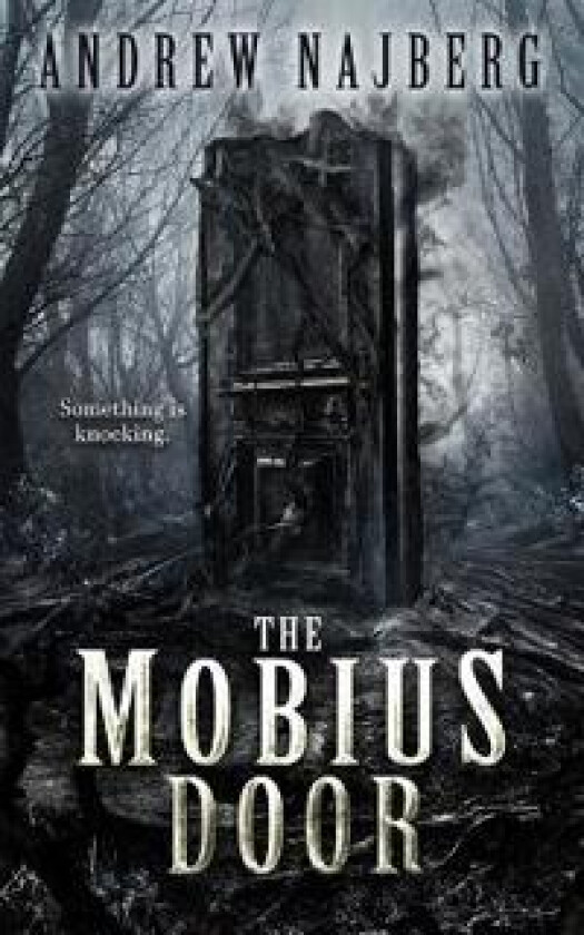The Mobius Door