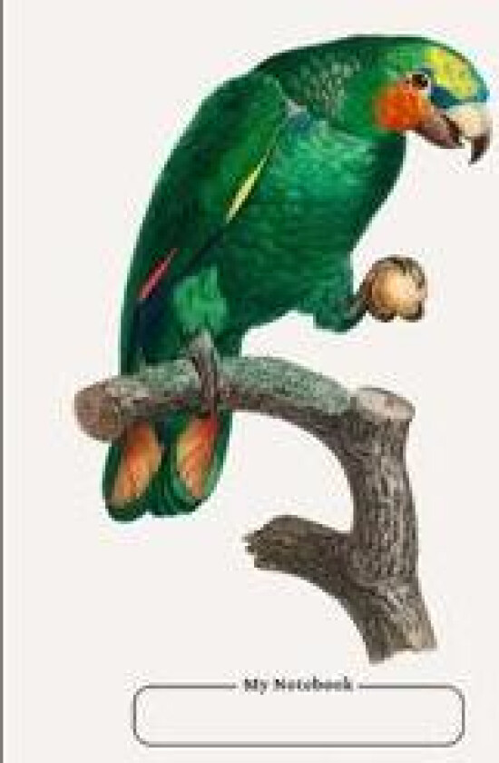 Cornell Notebook, Narrow Ruled, with Dot Grid Note-Taking Area, 100 pages, Compact Size 7.5 x 9.25, with Table of Contents