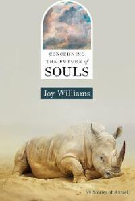 CONCERNING THE FUTURE OF SOULS