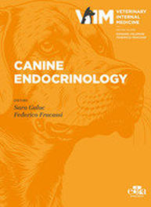 Canine Endocrinology