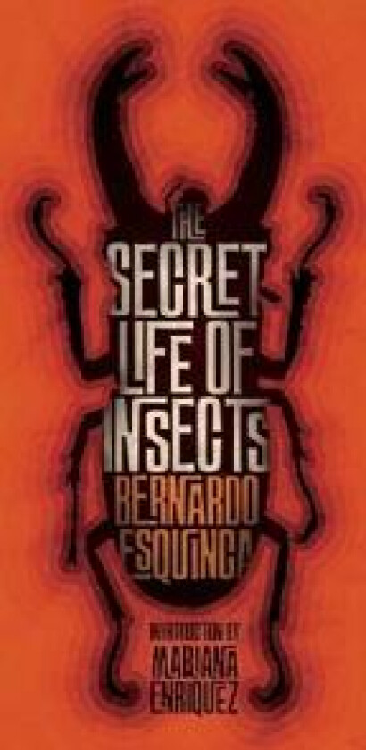 The Secret Life of Insects and Other Stories