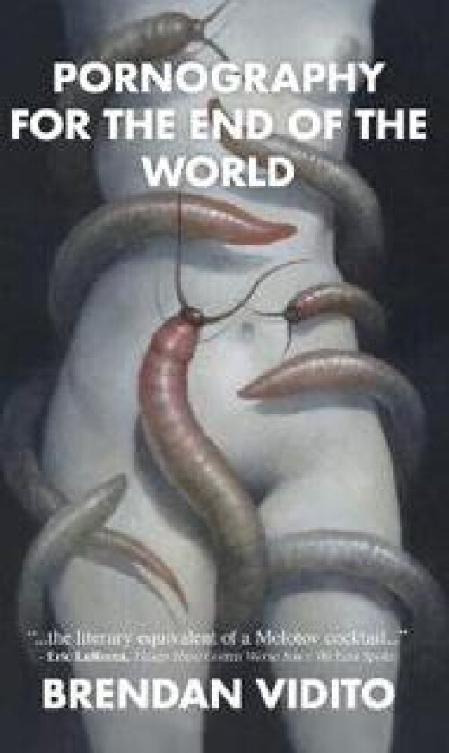 Pornography for the End of the World