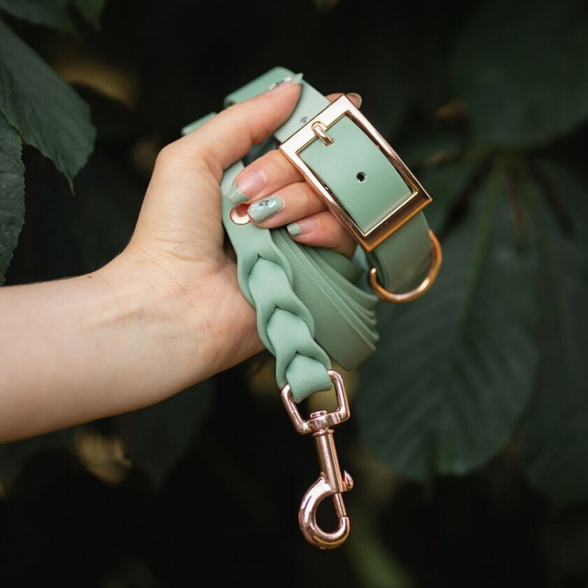 Tyylivoitto Classy Hundehalsbånd Stor modell Lysgrønn (XL)