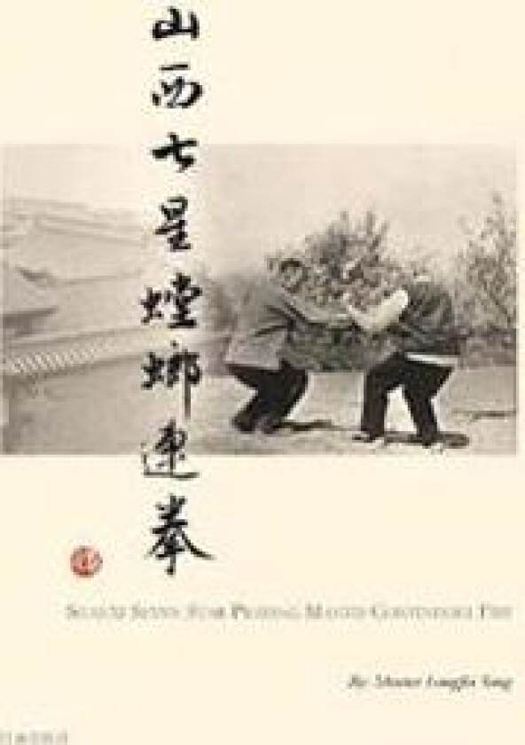 Shanxi Seven Star Praying Mantis Continuous Fist