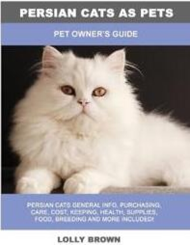 Persian Cats as Pets