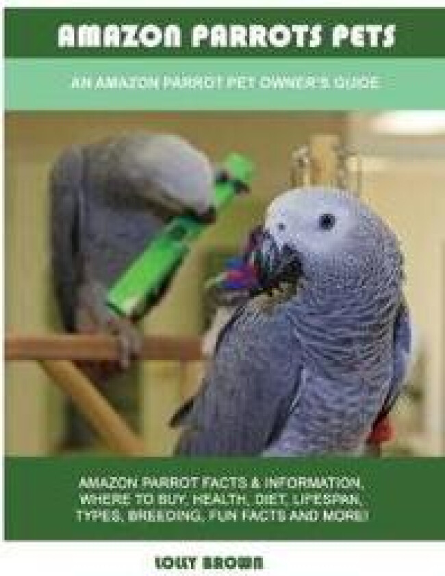 Amazon Parrots Pets