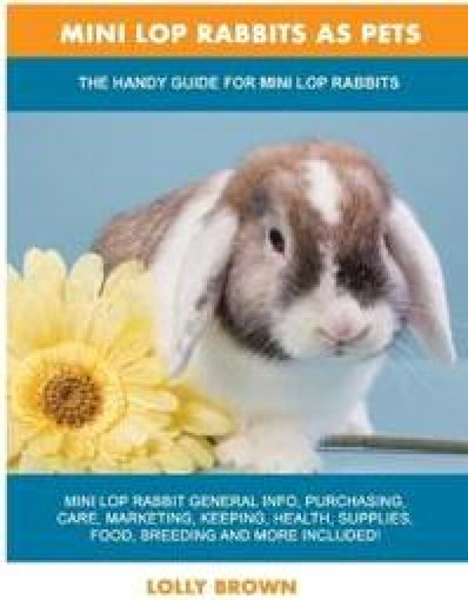 Mini Lop Rabbits as Pets