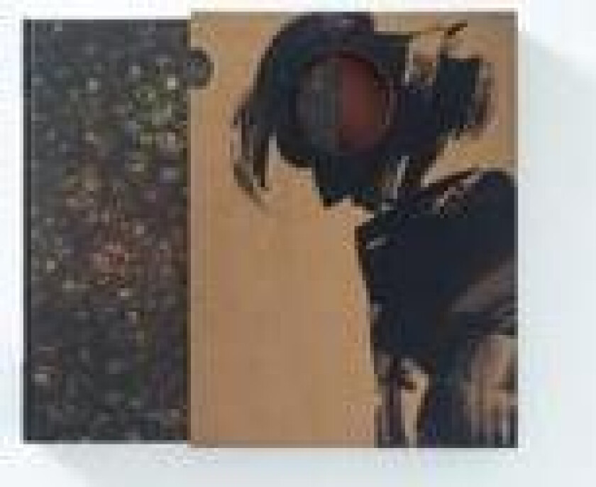 CRIME AND PUNISHMENT: An Illuminated Edition