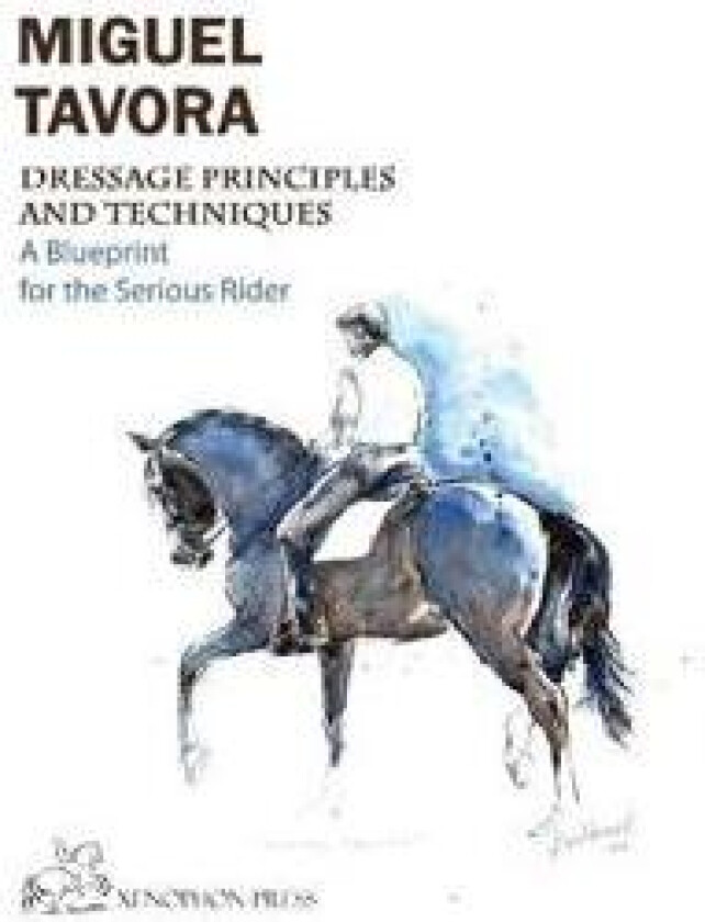 Dressage Principles and Techniques