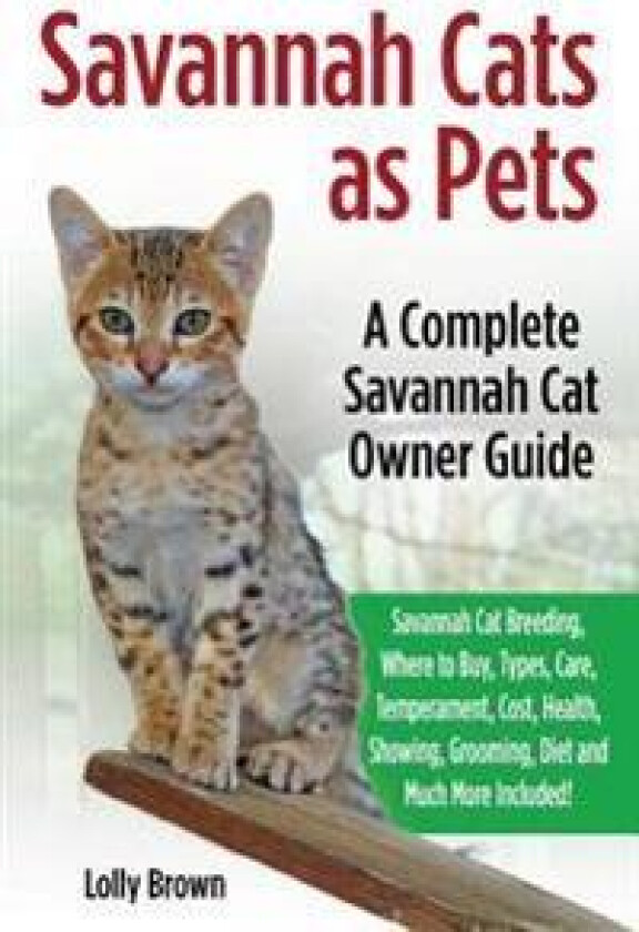Savannah Cats as Pets: Savannah Cat Breeding, Where to Buy, Types, Care, Temperament, Cost, Health, Showing, Grooming, Diet and Much More Inc
