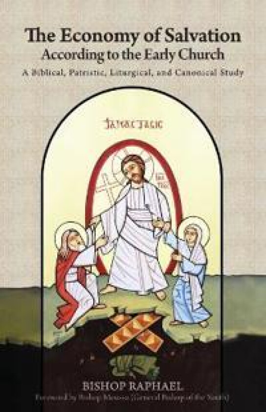 The Economy of Salvation According to the Early Church