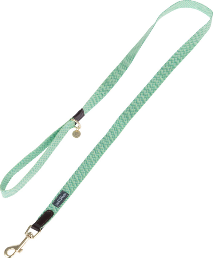 Bloom bånd, mint - 120 cm lang, 20 mm bred