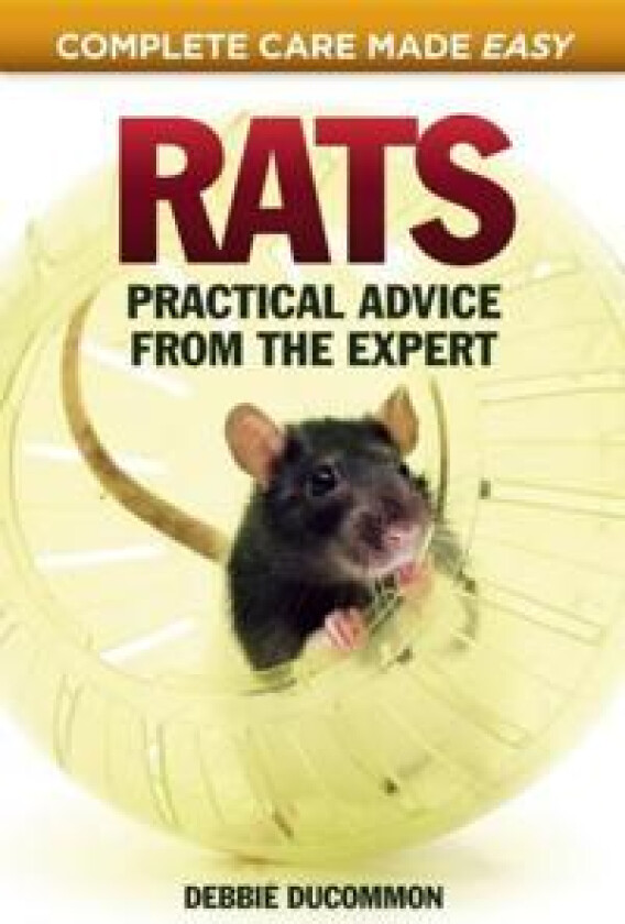 Rats