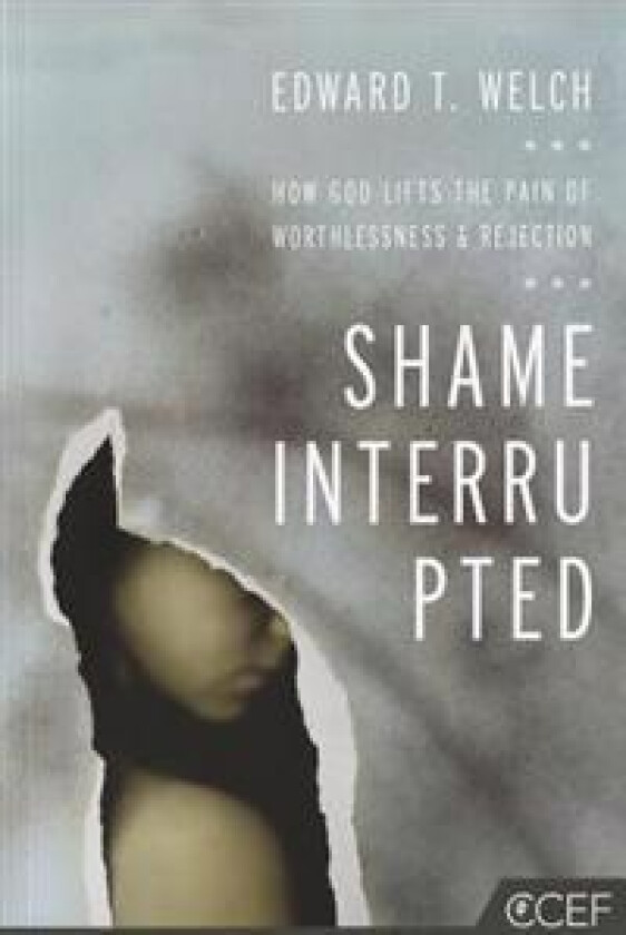 Shame Interrupted: How God Lifts the Pain of Worthlessness and Rejection