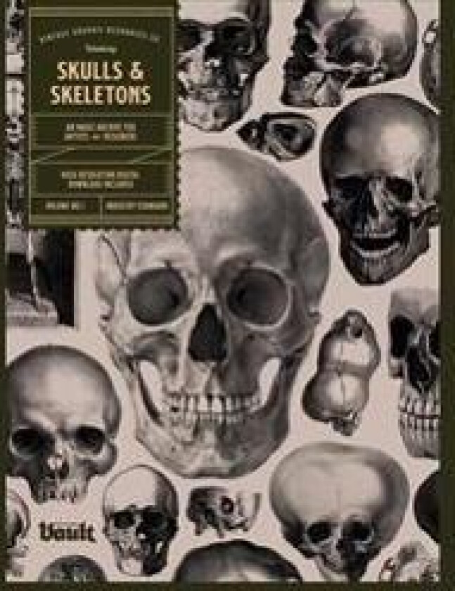 Skulls and Skeletons