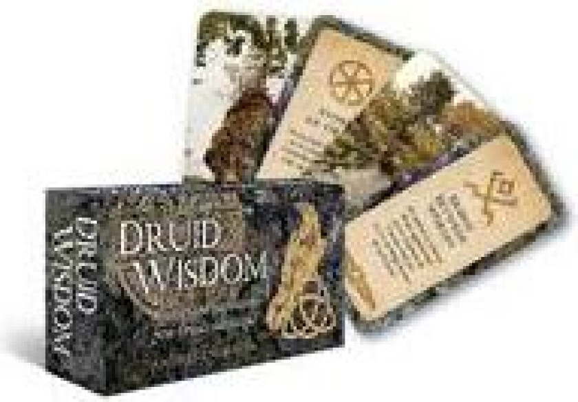 Druid Wisdom