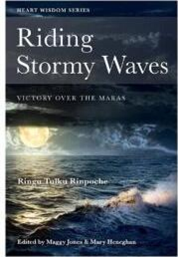Riding Stormy Waves