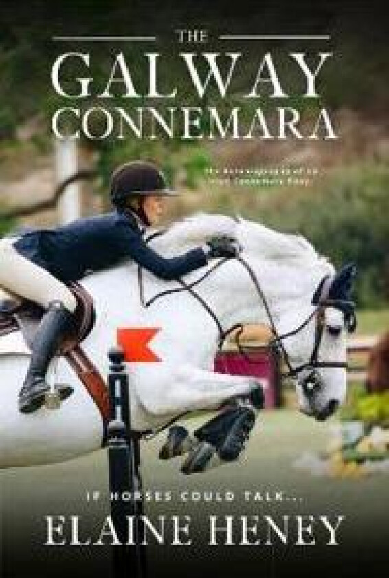 The Galway Connemara | The Autobiography of an Irish Connemara Pony. If horses could talk