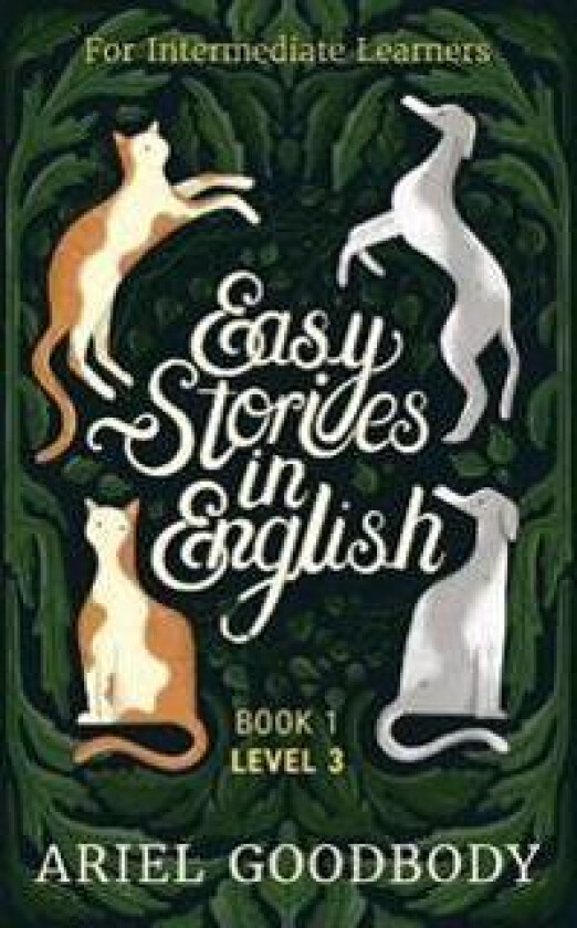 Easy Stories in English for Intermediate Learners