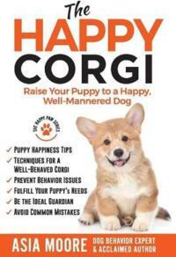 The Happy Corgi