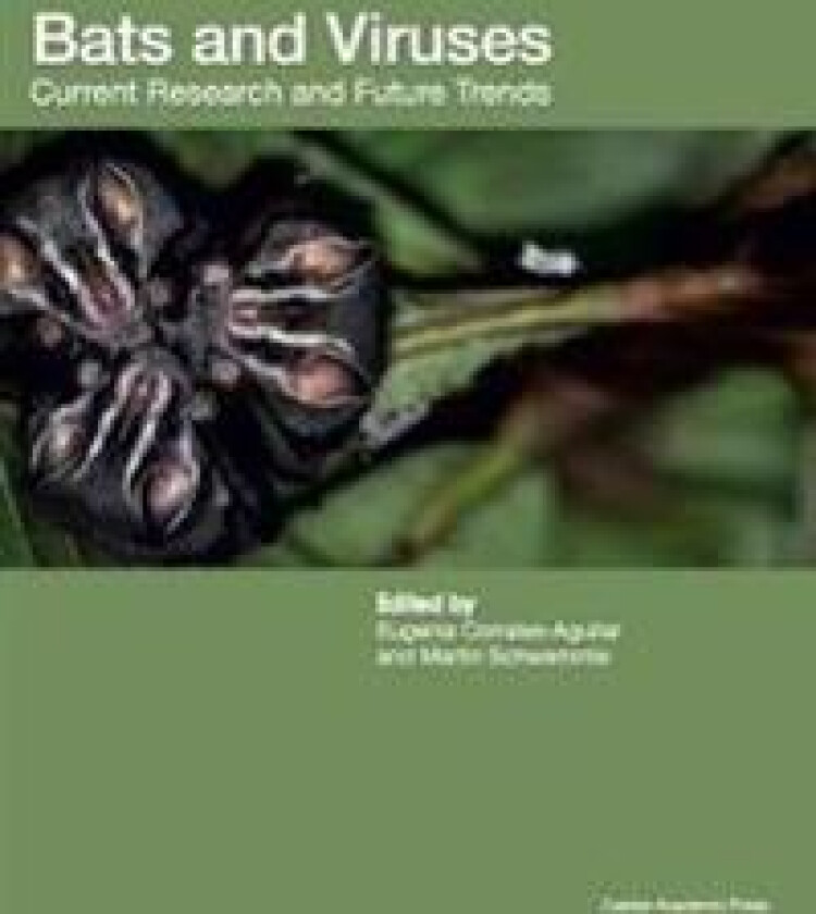 Bats and Viruses