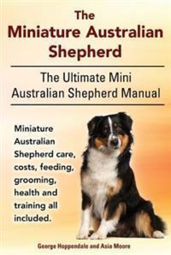 The Miniature Australian Shepherd. The Ultimate Mini Australian Shepherd Manual Miniature Australian Shepherd care, costs, feeding, grooming, health