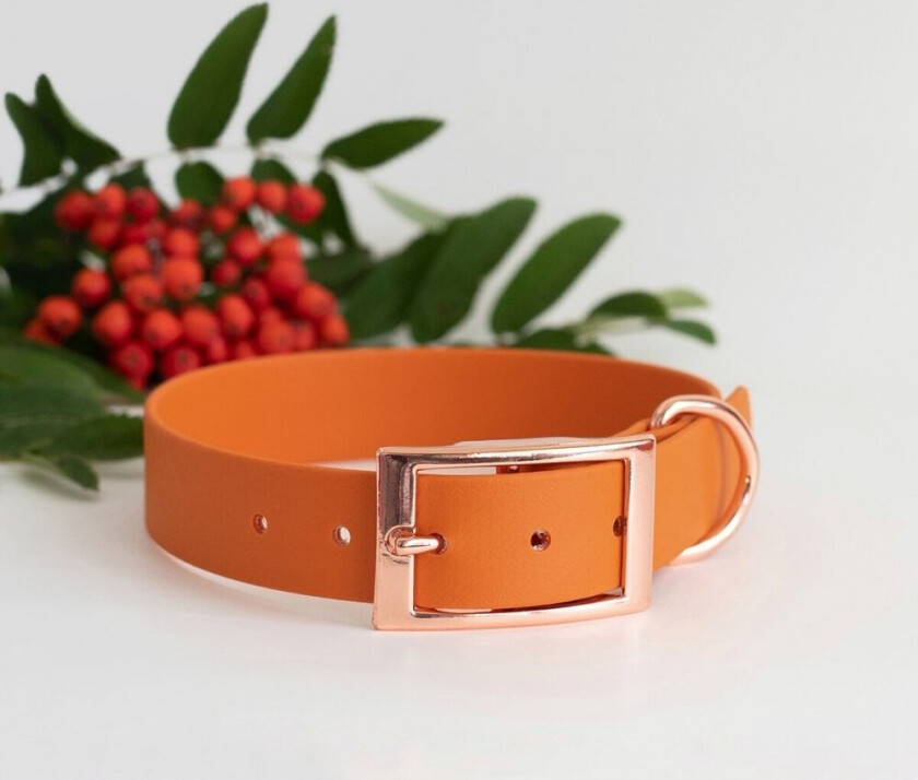 Tyylivoitto Classy Hundehalsbånd Stor Modell Mørk Oransje (L)