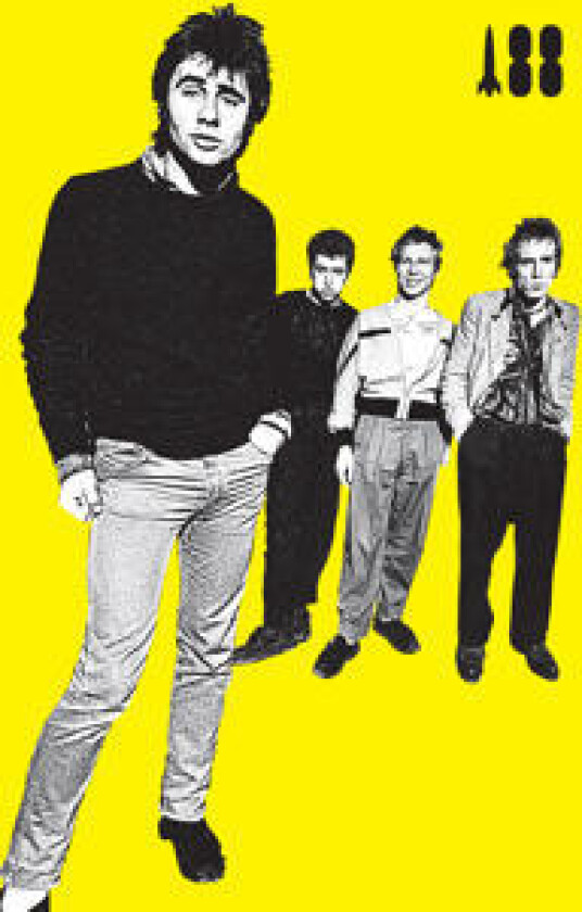 I Was A Teenage Sex Pistol