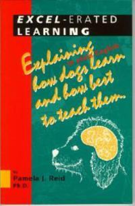 Excel-Erated Learning