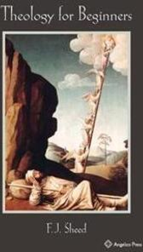 Theology for Beginners