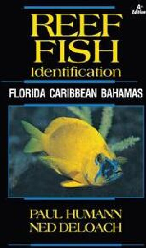 Reef Fish Identification