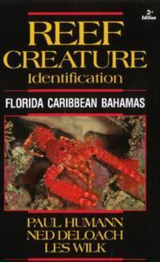 Reef Creature Identification