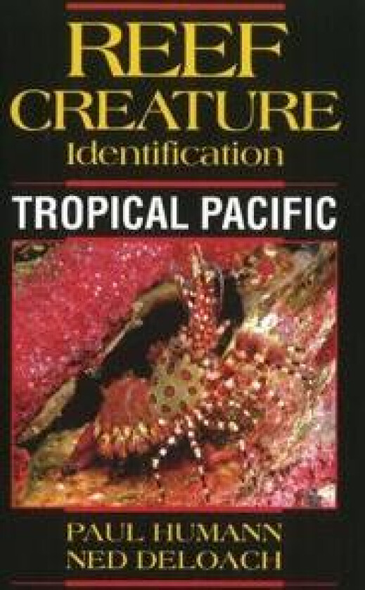 Reef Creature Identification