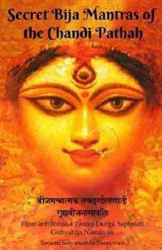 Secret Bija Mantras of the Chandi Pathah