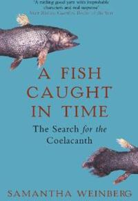 A Fish Caught in Time