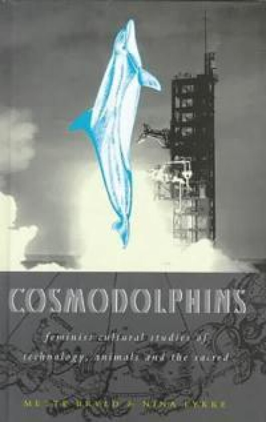 Cosmodolphins