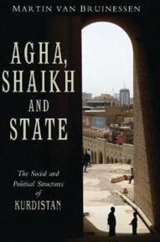 Agha, Shaikh and State