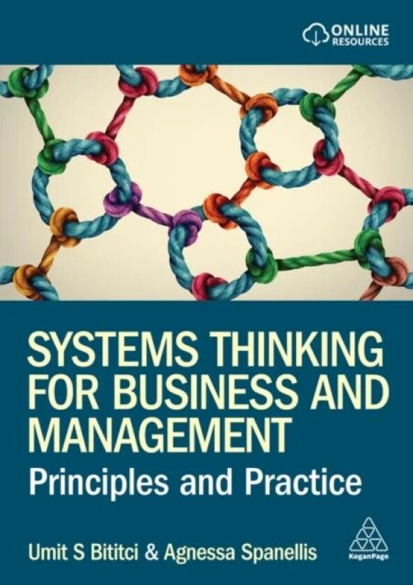 Systems Thinking for Business and Management av Professor Umit S Bititci, Dr Agnessa Spanellis