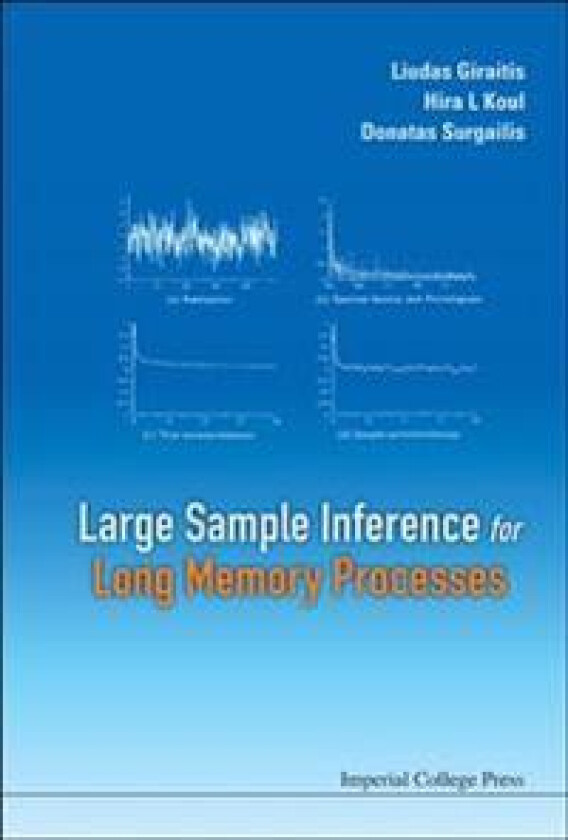 Large Sample Inference For Long Memory Processes