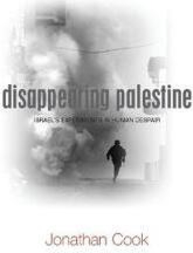 Disappearing Palestine