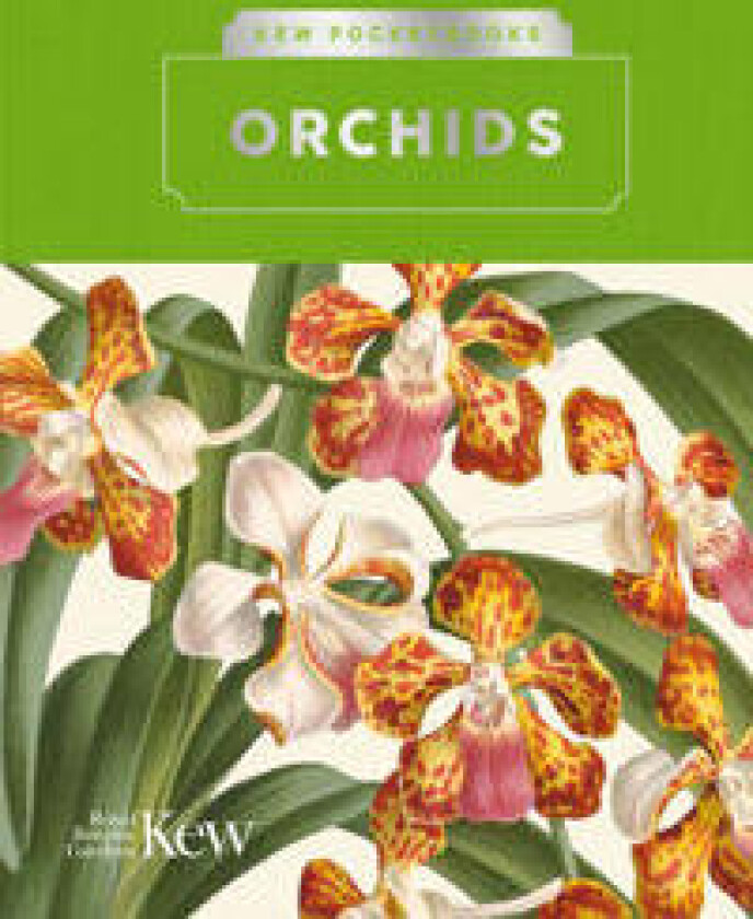 Kew Pocketbooks: Orchids