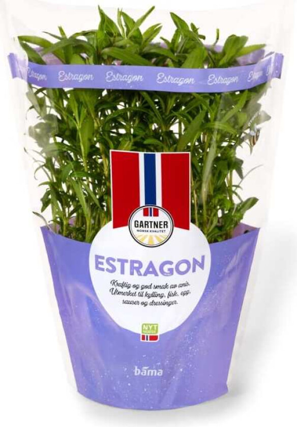 Estragon