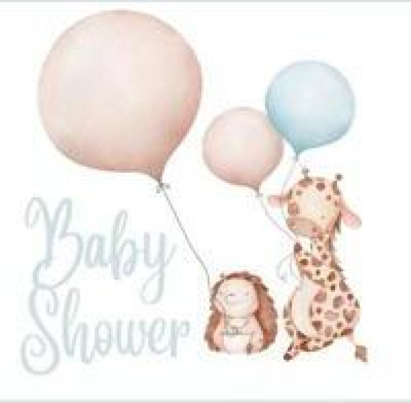 Baby shower guest book (Hardcover)