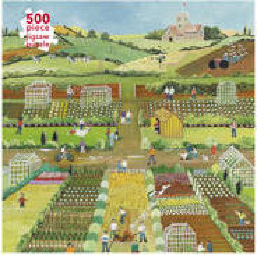 Adult Jigsaw Puzzle Judy Joel: Allotments, 2012 (500 pieces)